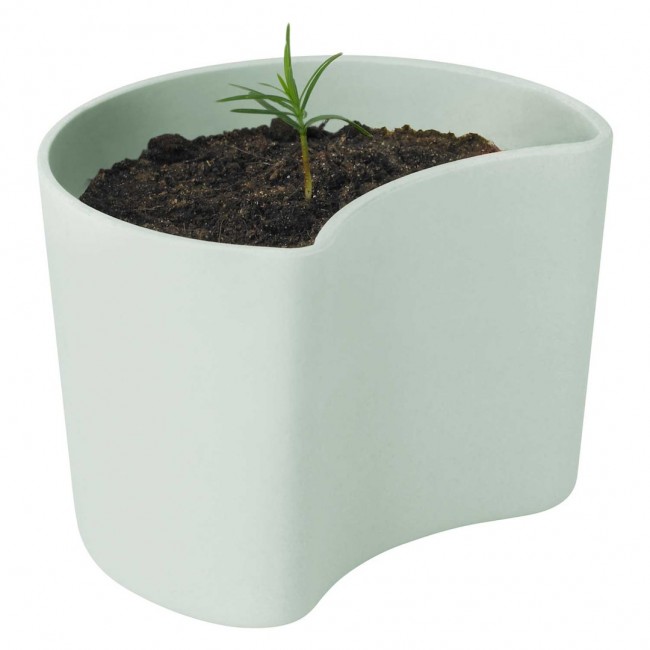 릭틱 Your Tree Degradable Pot With Seed 그린 RIG-TIG Your Tree Degradable Pot With Seed  Green 01167