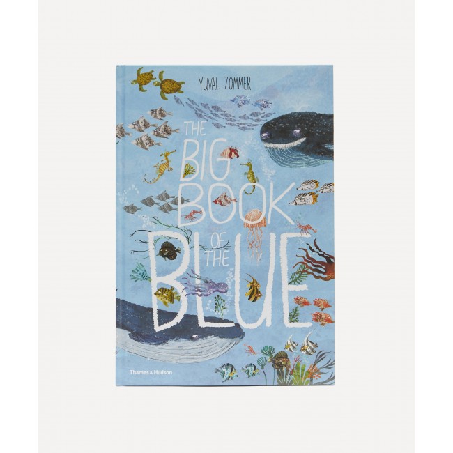 북스피드 The Big Book of The 블루 Bookspeed The Big Book of the Blue 01220