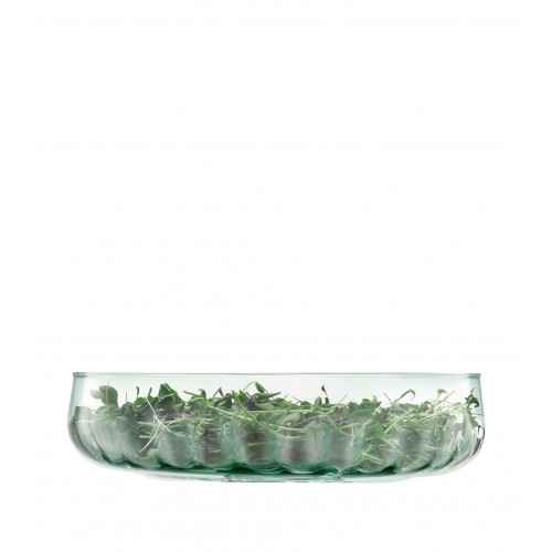 엘에스에이 인터네셔널 글라스 Mia Low 볼 (31.5cm) LSA International Glass Mia Low Bowl (31.5cm) 00496