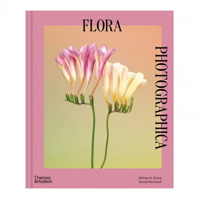 Thames & Hudson Flora Photographica: The 플라워 in Contemporary Photography TH9780500024584