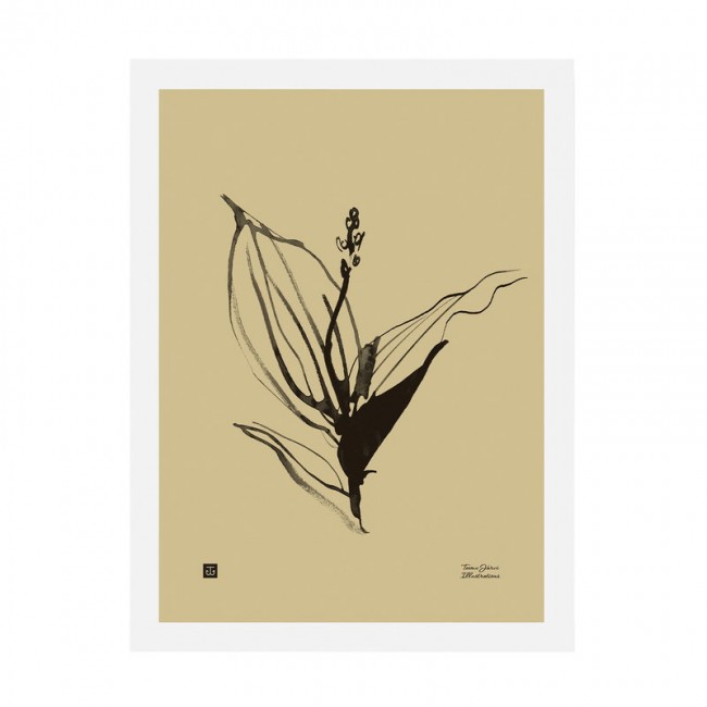 TEEMU JARVI ILLUSTRATIONS TE에뮤 Lily of the Valley poster 30 x 40 cm sand TJ6430065512363