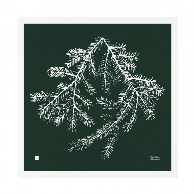 TEEMU JARVI ILLUSTRATIONS TE에뮤 Spruce Branch poster 50 x cm 포레스트 그린 TJ6430065512349