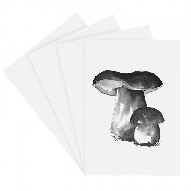 TEEMU JARVI ILLUSTRATIONS TE에뮤 Wild Mushroom mini poster set 4 pcs TJCWM-SET