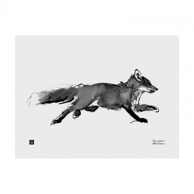 TEEMU JARVI ILLUSTRATIONS TE에뮤 Adventurous Fox poster 30 x 40 cm TJ6430065512912