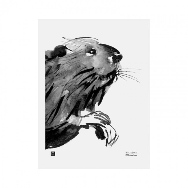 TEEMU JARVI ILLUSTRATIONS TE에뮤 Curious beaver poster 30 x 40 cm TJ6430065512905