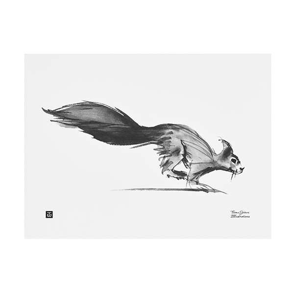 TEEMU JARVI ILLUSTRATIONS TE에뮤 Squirrel poster 40 x 30 cm TJPoSFG-SQ2