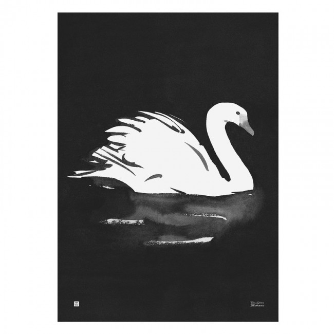 TEEMU JARVI ILLUSTRATIONS TE에뮤 Swan poster 50 x 70 cm TJPoRG-SW1