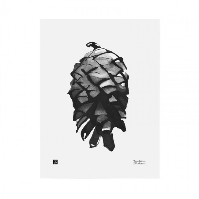 TEEMU JARVI ILLUSTRATIONS TE에뮤 Pine Cone poster 30 x 40 cm TJPoSFG-PC1