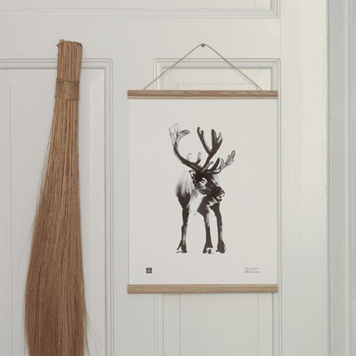 TEEMU JARVI ILLUSTRATIONS TE에뮤 Reindeer poster 30 x 40 cm TJPoSFG-FR1