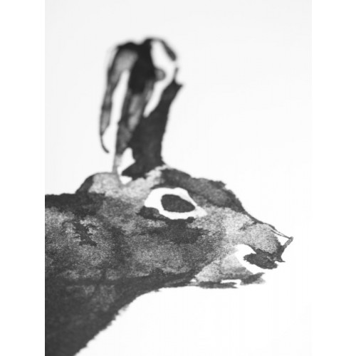 TEEMU JARVI ILLUSTRATIONS TE에뮤 Hare poster 40 x 30 cm TJPoSFG-MH2