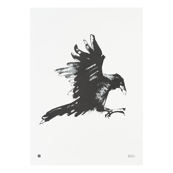 TEEMU JARVI ILLUSTRATIONS TE에뮤 Raven poster 50 x 70 cm TJPoFG-RA1