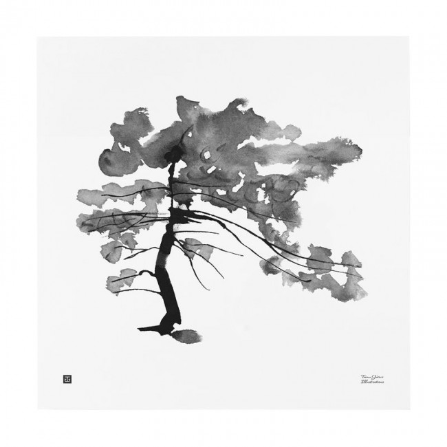 TEEMU JARVI ILLUSTRATIONS TE에뮤 Pine Tree poster 50 x cm TJPoMFG-PT1