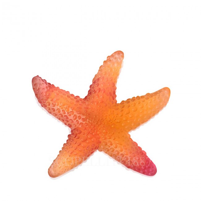 DAUM 크리스탈 Starfish Mer de Corail Amber Red Daum Crystal Starfish Mer de Corail Amber Red 02576