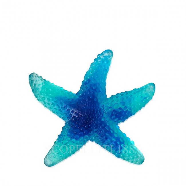 DAUM 크리스탈 Starfish Mer de Corail 블루 Daum Crystal Starfish Mer de Corail Blue 02575