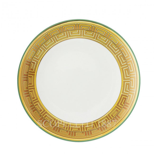 베르사체 디너접시 메두사 Amplified 그린 Coin Versace Dinner Plate Medusa Amplified Green Coin 02422