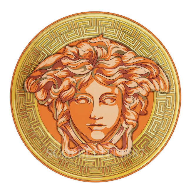 베르사체 Presentation 접시 메두사 Amplified 오렌지 Coin Versace Presentation Plate Medusa Amplified Orange Coin 02408