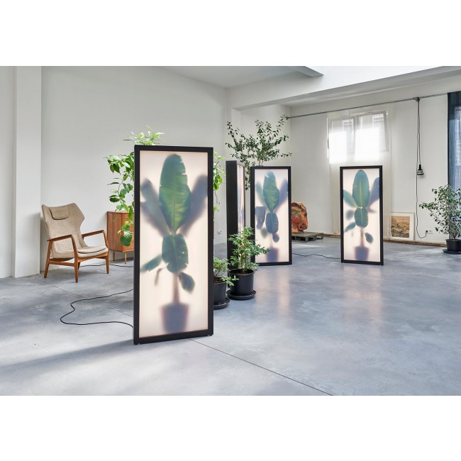 REM Atelier Growing Plants Lightbox With Photographic 콜라주 by 23525