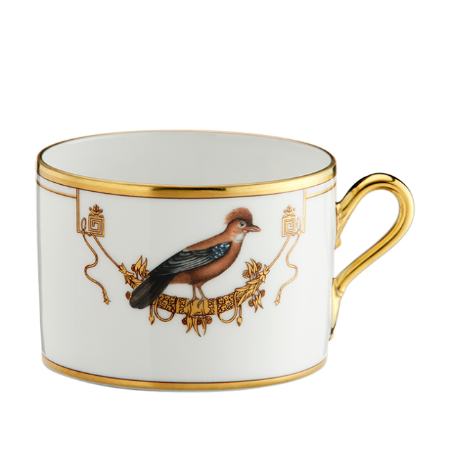 지노리 1735 Tea cup Voliere Geai Ginori 00437